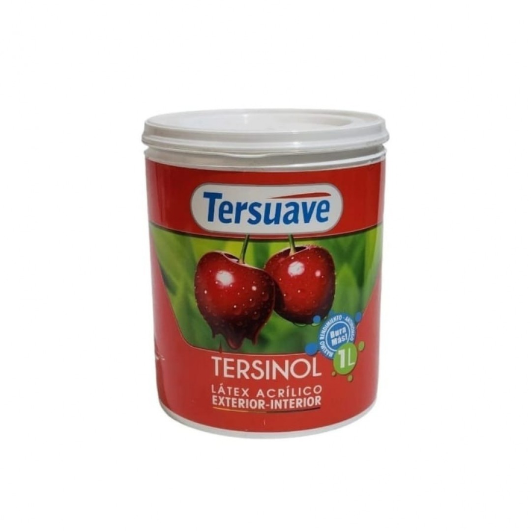 ternisol-latex-exterior-interior-20-lt
